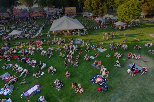 Adroit Technologies at Ribfest community event